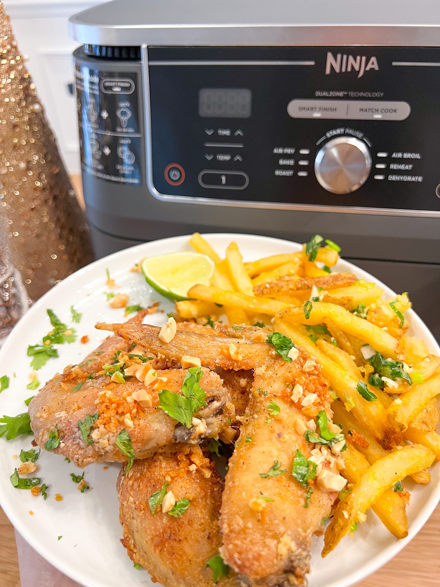 Wings, Ninja Foodi Dual Heat Air Fry Oven Recipe 